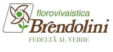 FLOROVIVAISTICA BRENDOLINI